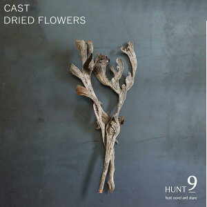 Mtg v[g hCt[ CeA HUNT9 u Casto hC t[ v u  傫  rO  } } CeA  ϗtA NX}X Ε Ε bs