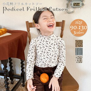 ԕ t Jbg\[ gbvX ̎q xr[p LbY    H ~ t JWA   xr[ Ԃ LbY q qǂ ǂ 