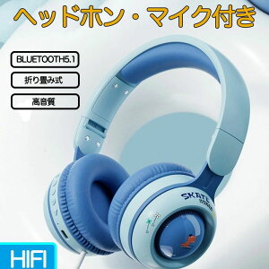 6�F �w�b�h�t�H�� HiFi �L�� �v���[���g �w�b�h�Z�b�g �}�C�N�t�� ��l�p ������ iPhone PC LED���C�g ���C�����X �C���z�� �܂�