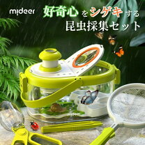 楽天市場】ヘラクレスオオカブト（昆虫ケース｜昆虫）：ペット・ペット 