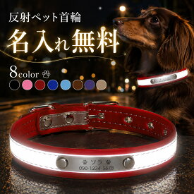 犬 首輪 名入れ無料 迷子札 名前入り 刻印無料 反射 ネームプレート ステンレスプレート 犬用首輪 犬の首輪 オーダーメイド ベルト式 Dカン 小型犬 中型犬 おしゃれ シンプル 散歩 夜間 迷子対策 防災 誕生日 うちの子記念日 記念日 プレゼント ★
