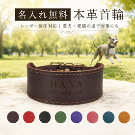 犬 首輪 本革 幅広 名入れ無料 牛革 一枚革 厚手 レザー 真鍮バックル イタグレ ウィペット グレーハウンド サイトハウンド 犬用首輪 ドッグカラー 名前入り 刻印 電話番号 迷子対策 小型犬 中型犬 ベルトタイプ 調整可能 おしゃれ 散歩 お出かけ 誕生日 記念日 ★