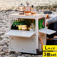 収納ケース 収納箱 Lサイズ 収納ケース プラスチック 収納 ボックス カラーボックス 収納箱 収納ケース …