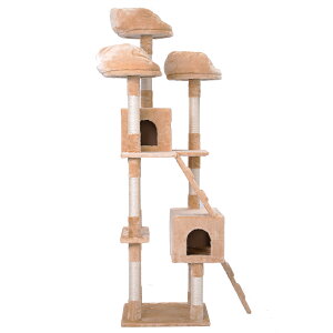 y15OFF24HzLbg^[ u  S185cm ܂Ƃ R@؂ȃnEXt B oXPbg  x[Wbeige R[q[ cat tower