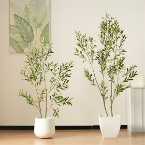 y24H聚10OFFzϗtA tFCN 120cm I[u̖ tFCNO[ lHϗtA h  ze CeA A  j   