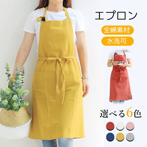 Gv  [NGv V[g ۈm p |p JtFGv GGv 傫TCY Ԃ邾 Ԃ  IV y  fB[X Y l k 