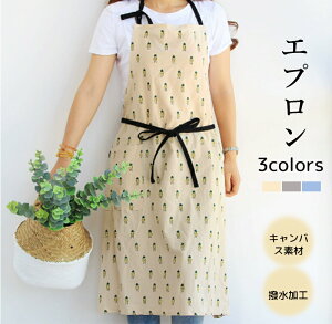 y15OFF24HzGv  [NGv   Rbg ۈm p |p JtFGv GGv 傫TCY Ԃ邾 Ԃ  KB y  