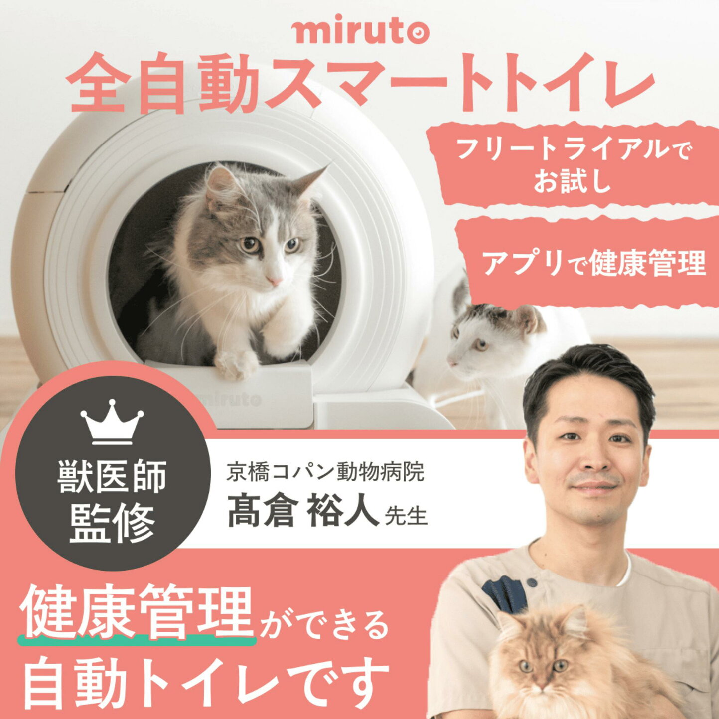 楽天市場 | miruto楽天市場店 - miruto楽天市場店