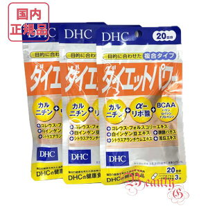 DHC _CGbgp[ 60 (20×3) ܖ2028Nȍ~ NHiyKiElR|Xz