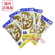 DHC オルニチン 100日分 (20日分×5袋セット) 賞味期限2028年以降 健康食品【国内正規品・ネコポス送料無…