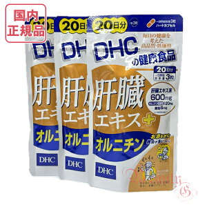 DHC ̑GLX{Ij` 60 (20×3) ܖ2028Nȍ~ NHiyKiElR|Xz