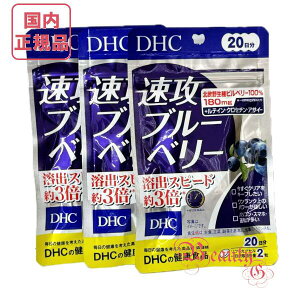 DHC Uu[x[ 60 (20×3܃Zbg) ܖ2027N5ȍ~ NHiyKiElR|Xz