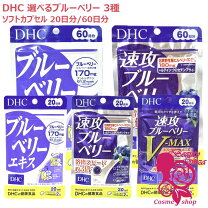 楽天市場】dhc 速攻ブルーベリーの通販