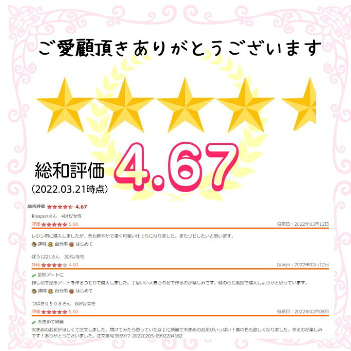 楽天市場 ランキング１位 ドライフラワー 花材 押し花 デコパーツ レジン 押し花 詰合わせ ネイル スマホケース デコ ハーバリウム アロマワックス サシェ カスミソウ アクセサリーパーツ ハンドメイド Rsl Craftラボ 美ryoku