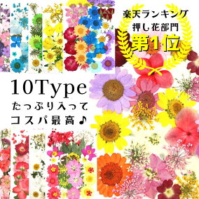 楽天市場 押し花 人気ランキング1位 売れ筋商品