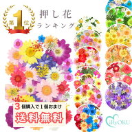 【3個購入で1個おまけ】押し花 ドライフラワー ネイル レジン 封入 パーツ ネイル 押し花キット iphoneケ…