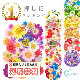 【3個購入で1個おまけ】押し花 ドライフラワー ネイル レジン 封入 パーツ ネイル 押し花キット iphoneケース スタイルステッカー 押花 ギフト 押し花乾燥シート 花材 スワッグ レジン フレーム 髪飾り ブーケ リース 花束 2012S