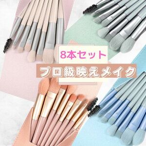【本日20時〜10%OFFクーポン】メイクブラシ セット 8本 化粧ブラシ アイシャドウブラシ プロ仕様 旅行 ケース ポーチ付き コンパクト ブラシケース付 誕プレ コーム パウダーブラシ チークブ