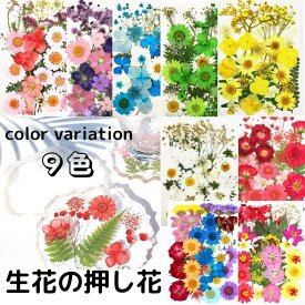 楽天市場 ドライフラワー レジン アクセサリーの通販