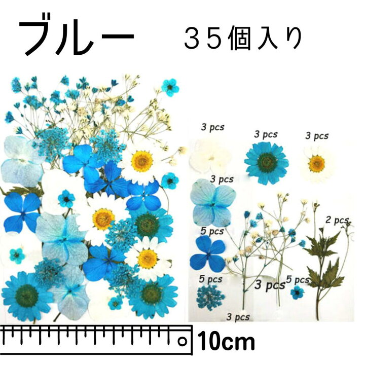 楽天市場 ランキング１位 ドライフラワー 花材 押し花 デコパーツ レジン 押し花 詰合わせ ネイル スマホケース デコ ハーバリウム アロマワックス サシェ カスミソウ アクセサリーパーツ ハンドメイド Rsl Craftラボ 美ryoku