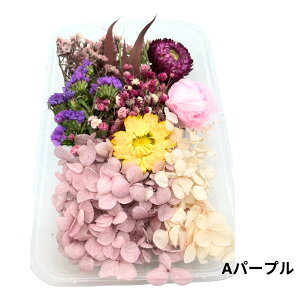 yʌIX[p[SALE20OFFzhCt[ W ANZT[ ԍ n[oE A}bNX TVF XbO JX~\E u[P  ԑ  ANZT[p[c t