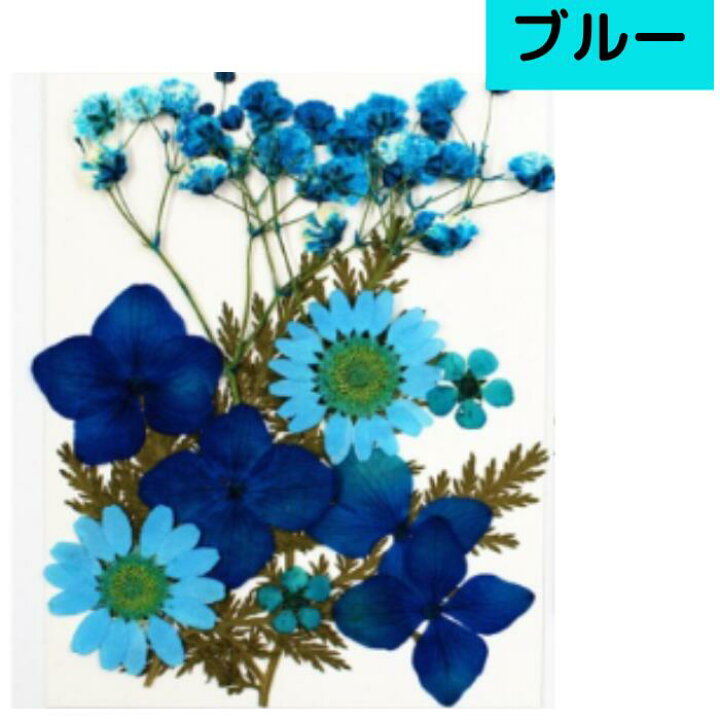 楽天市場 10 ポイントバック ドライフラワー 花材 押し花 デコパーツ レジン 詰合わせ ネイル スマホケース ブルー デコ ハーバリウム アロマワックス サシェ カスミソウ アクセサリーパーツ ハンドメイド Rsl Craftラボ 美ryoku 楽天市場 10 ポイントバック ドライフラワー 花材 押し花 デコパーツ レジン 詰合わせ ネイル スマホケース ブルー デコ ハーバリウム アロマワックス サシェ カスミソウ アクセサリーパーツ ハンドメイド Rsl Craftラボ 美ryoku