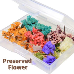 y200~500~800~OFFN[|zڃhCt[ W ANZT[ ԍ n[oE A}bNX JX~\E u[P  ԑ  ANZT[p[c t[ [X v