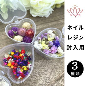 ドライフラワー レジン アクセサリー 花材 ハーバリウム アロマワックス サシェ スワッグ カスミソウ ブーケ 髪飾り 花束 あじさい アクセサリーパーツ フラワー リース プリザーブドフラワーハンドメイド 20