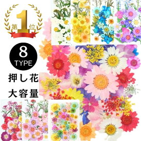 【最大20％OFFクーポン】押し花 ドライフラワー ネイル レジン 封入 パーツ ネイル 押し花キット iphoneケース スタイルステッカー 押花 ギフト 押し花乾燥シート 花材 スワッグ レジン フレーム 髪飾り ブーケ リース 花束 20