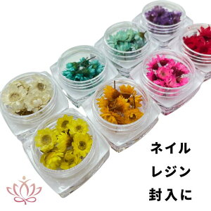 y200~500~800~OFFN[|zڃhCt[ W ANZT[ ԍ  A}bNX TVF XbO JX~\E u[P  ԑ  ANZT[p[c NX}X 