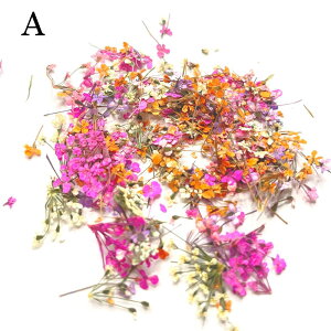 y{10OFFN[|z hCt[ W ANZT[ ԍ lC Ԃт A}bNX TVF XbO JX~\E u[P  ԑ ANZT[p[c NX}X v