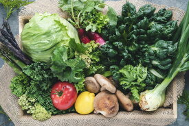 軽井沢　追分八百屋　旬の無農薬野菜セット Small　6-8品目（ オーガニック野菜 オーガニック 無農薬 無添加 野菜BOX 旬の詰め合わせ ギフト 母の日 父の日 新生活 )