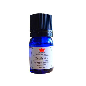 y~[zXeBbNA}z @[J 5ml 3Zbg ( V GbZVIC v[g Mtg A}  bNX VR100 Xї A}ObY bNX 