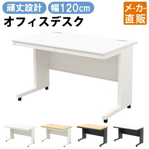 ƋAKIRA ItBXfXN X`[fXN 120cm fXN o 1200×700×720mm zCg    [ A4 ގ[ [  [NfXN pfXN P[u[ 