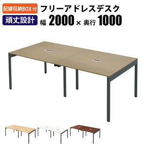 yő3000~OFFN[|zz!`11/27 01F59܂ŁzƋAKIRA t[AhXfXN ItBXe[u zLbvt 4lp 2000×s1000×720mm CguE t[AhX ItB