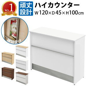 ƋAKIRA nCJE^[ tJE^[ 120cm s45cm 100cm X`[ G JE^[ 1200 t zCg t JE^[e[u ItBXJE^[ JE^[fXN 