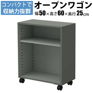 ƋAKIRA I[vS fXNS 2i LX^[t fXN[ RpNg 50cm s25cm 60cm  fXNS [ [S O[ Lrlbg OW-2-FGY