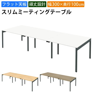 yő2000~OFFN[|zz!`10/31 23F59܂ŁzƋAKIRA cpe[u ~[eBOe[u 6lp 300cm s100cm 72cm Xe[u c zCg  k ItBXf