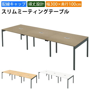 yő3000~OFFN[|zz!`11/11 01F59܂ŁzƋAKIRA cpe[u ~[eBOe[u zLbvt 300cm s100cm 72cm Xe[u c CguE 