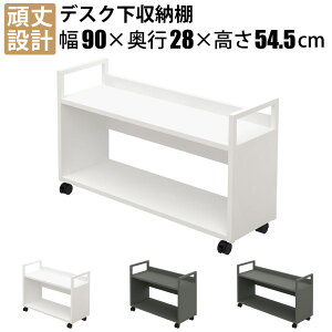 ƋAKIRA fXN[S 90cm [ I LX^[t s28cm 54.5cm A_[fXNVFt fXN[ fXNS TChS Lrlbg X`[fXN UDSK-09