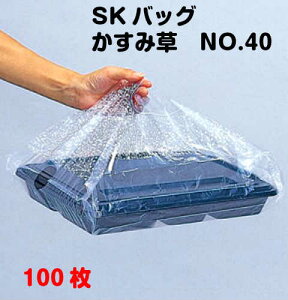 SK�o�b�O �����ݑ� No.40 100��