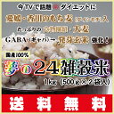 今だけ500gX2袋で1kg今TVで話題の超希少！愛媛・香川のもち麦（ダイシモチ）＆愛媛はだか麦入たっぷり食物繊維⇒大麦！夢の24雑穀米（国産100％）さらに見... ランキングお取り寄せ