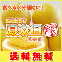 ■中〜大玉⇒大箱10kg⇒送料無料！限定サービス価格！夏文旦（河内晩柑）訳あり君・愛媛産（訳あり）えひめ産 ランキングお取り寄せ