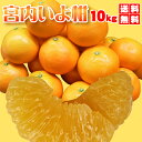 いよかん【送料無料】潮風をたっぷりあびた味濃い旨味畑の!宮内伊予柑・大箱10kg(家庭用・訳あり)いよかん