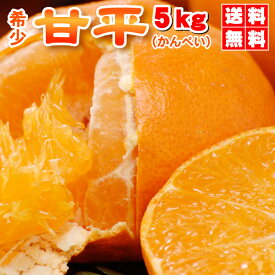 ★本日20%OFFさらにポイント10倍★　かんぺい 5kg TVで話題！送料無料で赤字覚悟の大箱5kg！希少品種・甘平（かんぺい）一度は食べてみたい今話題のレアなみかん！（訳あり・ご家庭用）