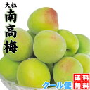 南高梅 2kgクーポンで2,370円!青梅・大粒2〜3L・南高梅⇒クール送料無料で最安値に挑戦!もぎたて新鮮・青梅・大粒・南高梅(2〜3L)保証付・送料無料さら...