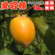 本日クーポンで10%OFF　あたご柿　大箱10kgで送料無料・愛宕柿（干し柿用）渋柿・大箱10kg・愛媛産・ご家…