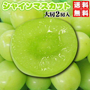 シャインマスカット 約1,2kg 大房2房入★個数限定サービス価格 山梨直送★約1,2kg 大房2房入⇒美味鮮度重視シャインマスカット送料無料で贈答OKワイン発祥の山梨より直送!