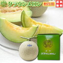 割引クーポン付　静岡　クラウンメロン　1玉入　専用贈答化粧箱　送料無料　お歳暮　ギフト　マスクメロン