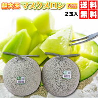 割引クーポン付　光センサー選果　超大玉マスクメロン　秀品　2玉入（約3~4kg）　JA茨木旭村　贈答用・ギ…